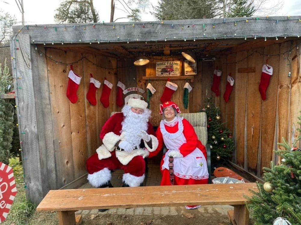 Noel's Tree Farm photo 9