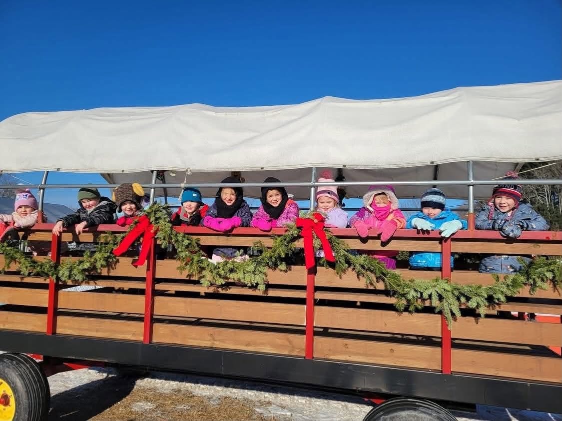 Noel's Tree Farm photo 10