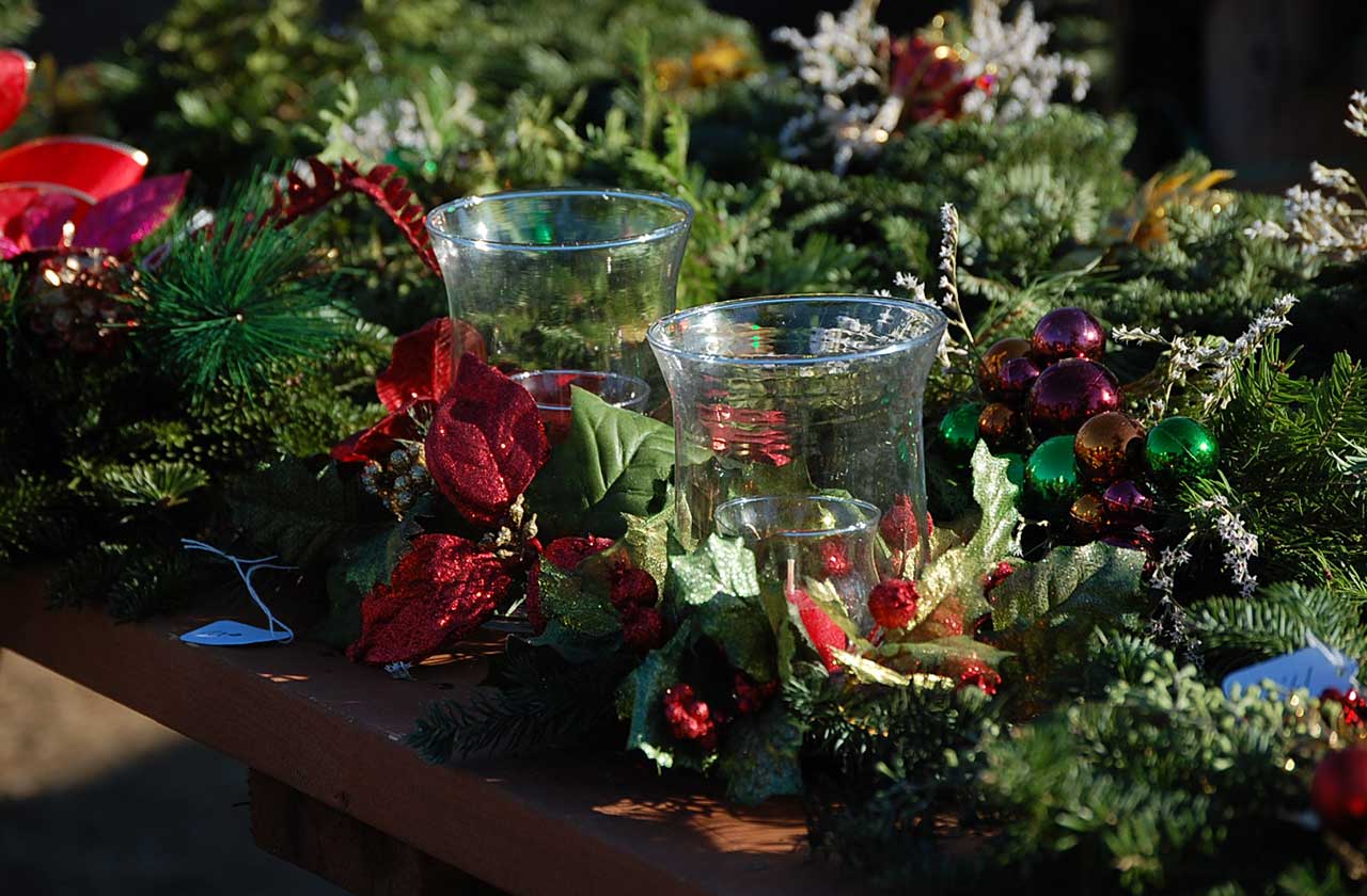 Noel's Tree Farm photo 2