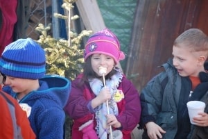 Noel's Tree Farm photo 6